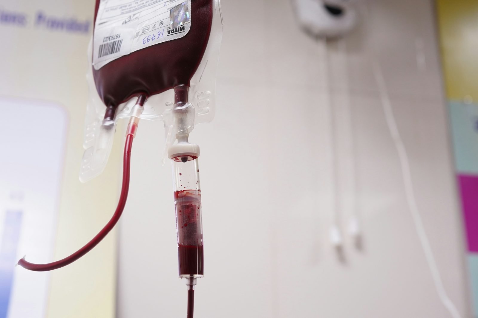 A tagged blood unit running at the bedside, traceable back to its donor